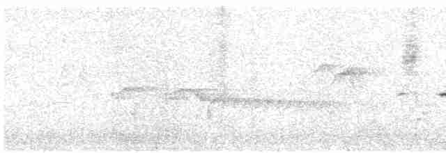 Gray-bellied Tesia - ML616283844
