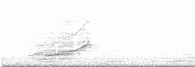 Берберийский кеклик - ML616284018
