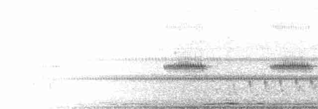 Buff-collared Nightjar - ML616284380