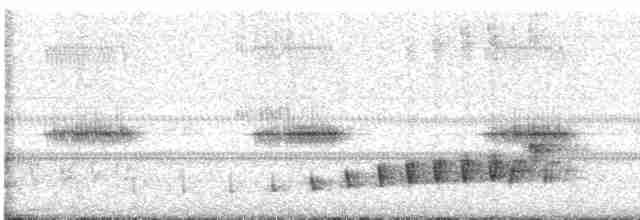 Braunhals-Nachtschwalbe - ML616284381