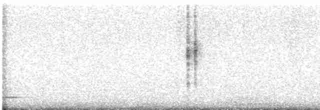 Geniş Gagalı Kolibri - ML616284553