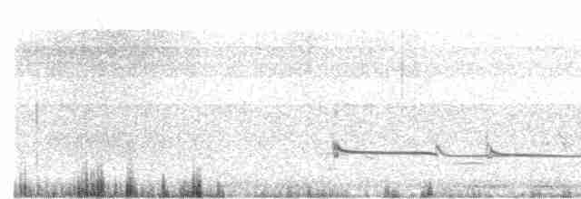 Common Redshank - ML616284762