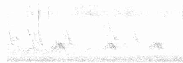 Зебровая горлица - ML616284852