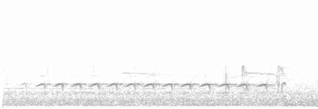 Weißbrustkleiber - ML616285208