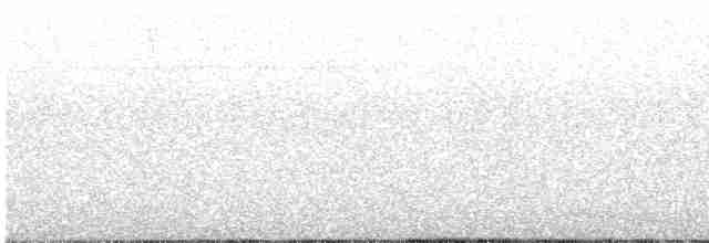 Speckled Mourner - ML616285720