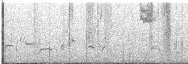 Cuitlacoche de las Artemisas - ML616290716