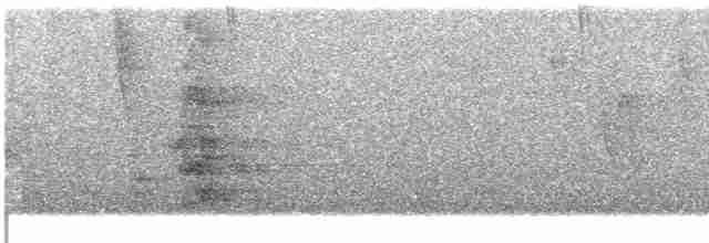 オウム目（インコ科 大きな種） - ML616291535