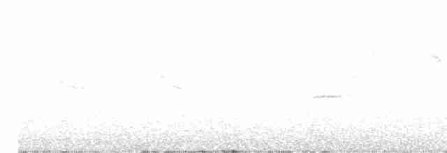 Eurasian Bullfinch - ML616296054