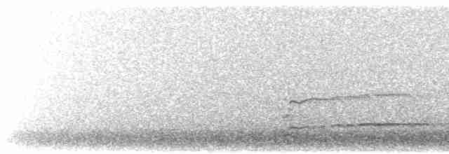 orel bělohlavý - ML616296118