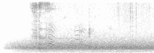 疣鼻天鵝 - ML616297246