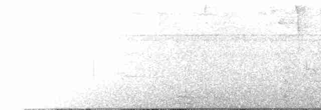 Lattice-tailed Trogon - ML616299185