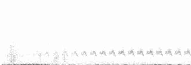 Кактусовый крапивник - ML616299979