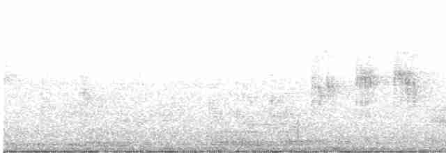rákosník pokřovní - ML616300053