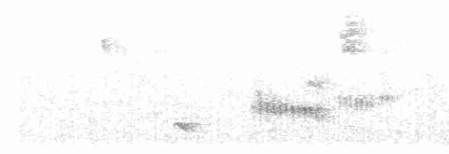 Gray-headed Antbird - ML616300957