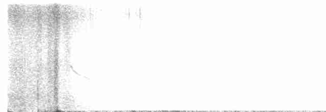 Plectrophane des neiges - ML616301099