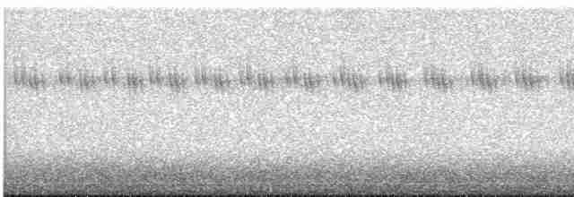 Cırcır Sesli Serçe - ML616302514