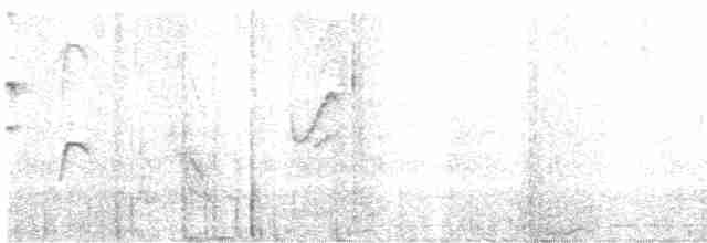 Tangara à ventre rouge (groupe lunulatus) - ML616306796