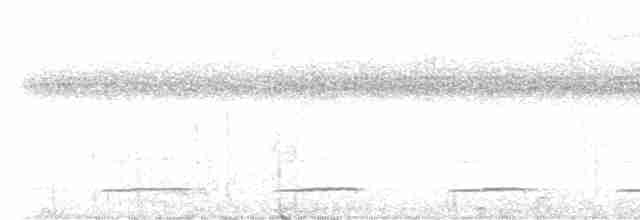 Сичик-горобець еквадорський - ML616306922
