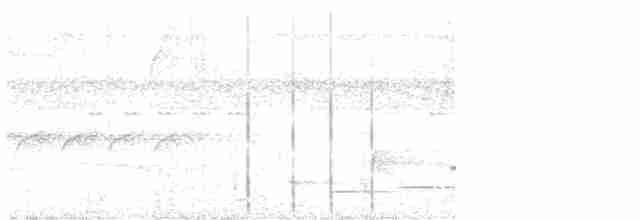 Тріскопліт рудолобий (підвид salvini) - ML616306970