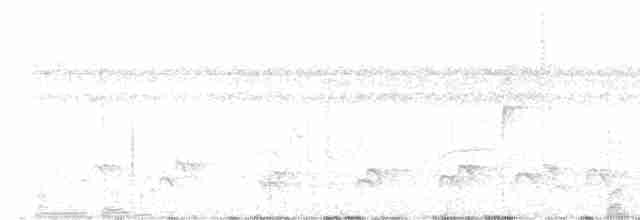 Schwarzbrust-Ameisenfänger - ML616306991