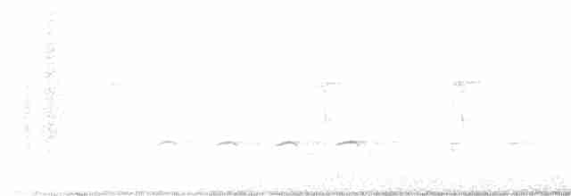 セジロアカゲラ（villosus グループ） - ML616307761