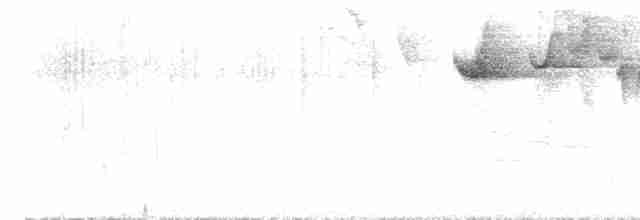 Лопатодзьоб білогорлий - ML616307891