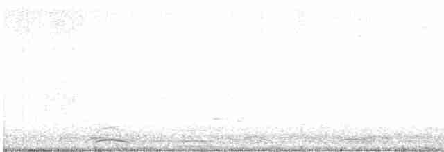 Cygne siffleur - ML616308607