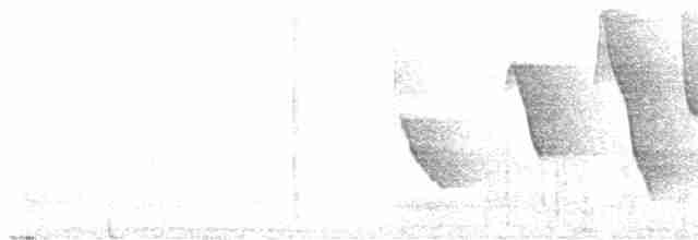 Solitaire siffleur (groupe genibarbis) - ML616308878