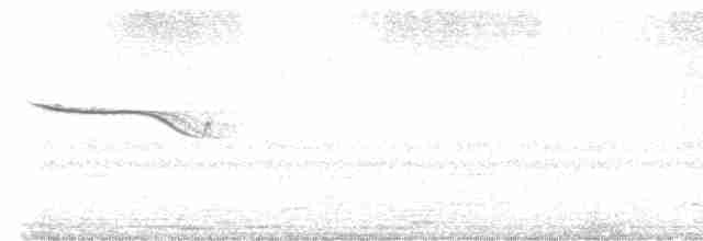 Полосатокрылый козодой - ML616310097