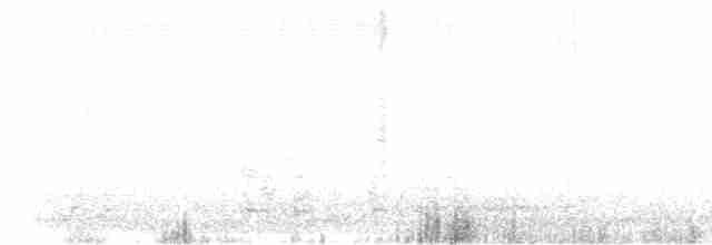 Гуска білолоба - ML616310618