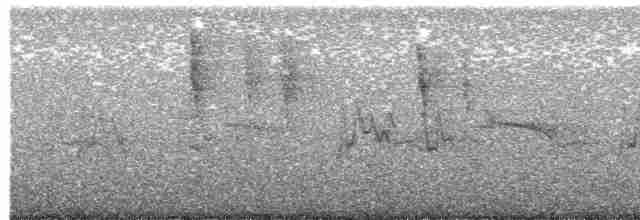 Graumantel-Brillenvogel - ML616313869