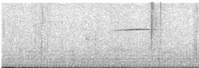 Malabar Whistling-Thrush - ML616313888