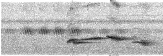 Turuncu Başlı Ardıç - ML616314812