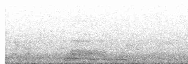 Длиннохвостый крапивник - ML616315071