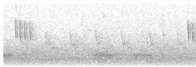 Weißbrauenschnäpper - ML616315735