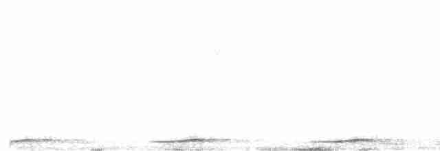 Сова-голконіг далекосхідна - ML616316635