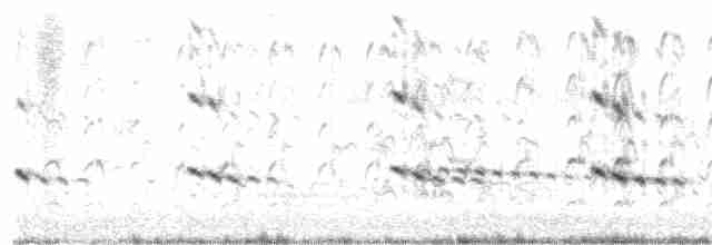 Alción de Esmirna - ML616318039