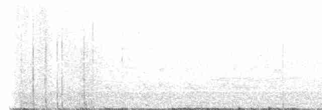 Common Chiffchaff (Siberian) - ML616318466