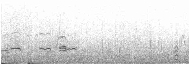 čírka kropenatá - ML616318569
