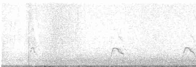 Eurasian Wigeon - ML616318771