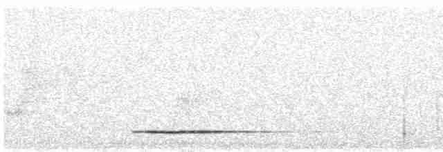 Thicket Tinamou - ML616319077
