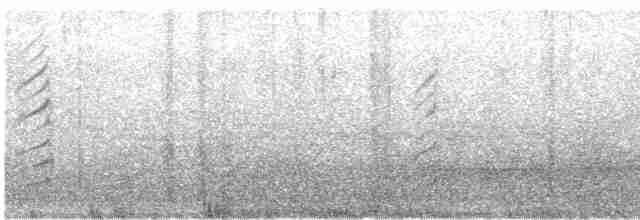 Kara Gagalı Saksağan - ML616319934