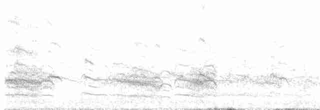 South American Tern - ML616320135