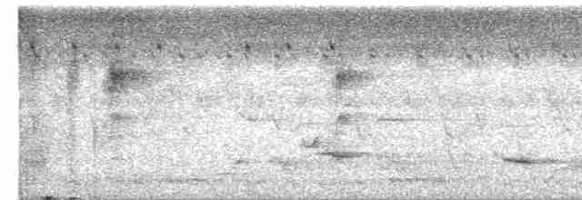 Дятел-куцохвіст чорночубий - ML616321128