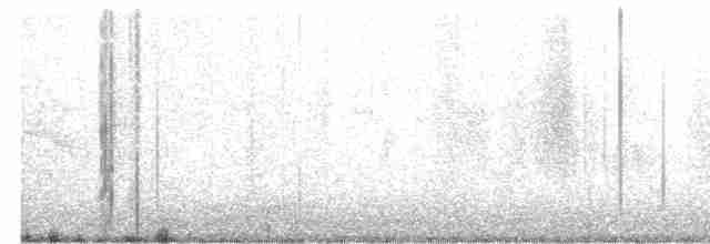 White-crested Tyrannulet - ML616321482
