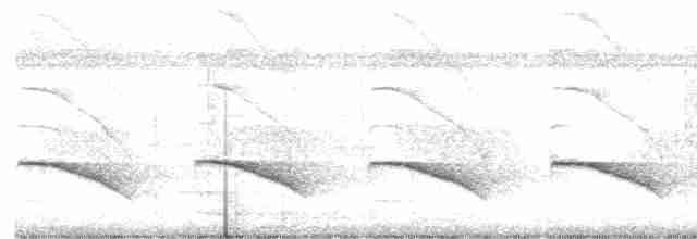 Short-tailed Babbler - ML616322149