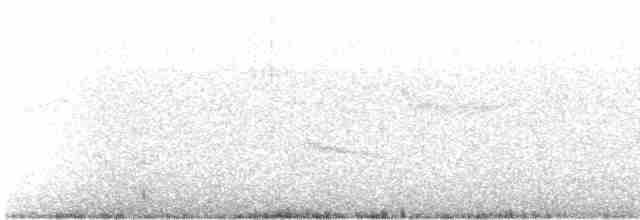 Black-chested Buzzard-Eagle - ML616323888