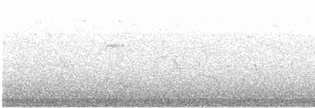 Заросляк сірогрудий - ML616325013