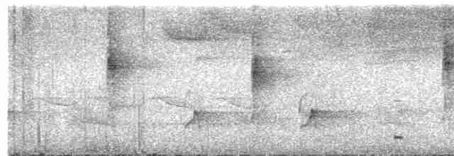 Sclérure à poitrine rousse (scansor) - ML616325382