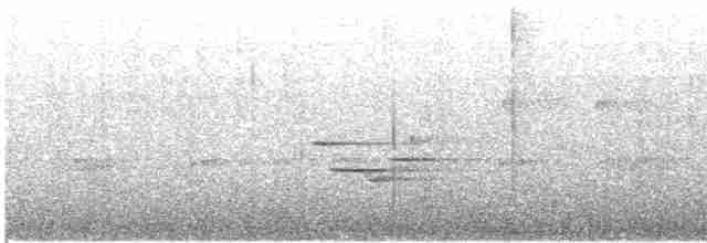 Grauscheitel-Ameisenpitta - ML616326130